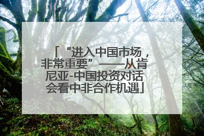 “进入中国市场，非常重要”——从肯尼亚-中国投资对话会看中非合作机遇